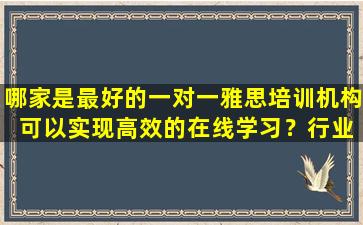 哪家是最好的一对一雅思培训机构 可以实现高效的在线学习？行业专家的提示！